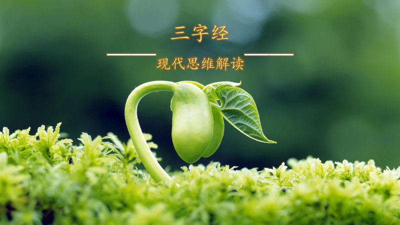 三字经：现代思维解读